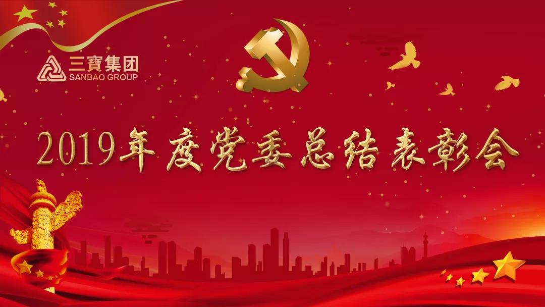 萬(wàn)眾一心加油干，不負(fù)韶華勇向前｜三寶集團(tuán)黨委召開(kāi)2019年度總結(jié)表彰會(huì)