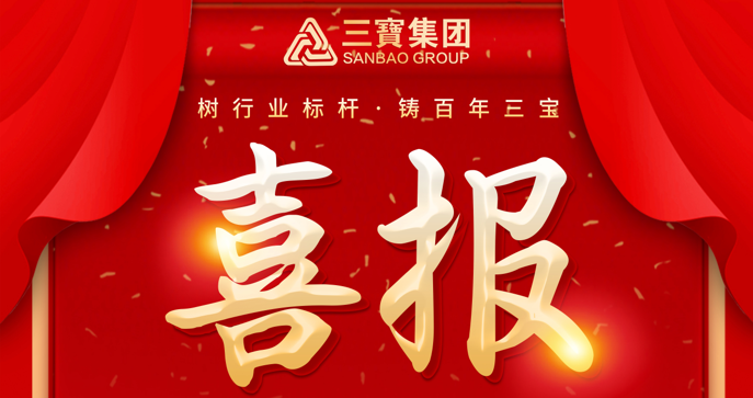 喜報！三寶職工榮獲福建省百萬職工“五小”創(chuàng)新大賽一等獎